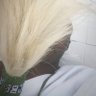 Profilbild von Foyewa