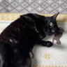 にゃにゃ's profile picture
