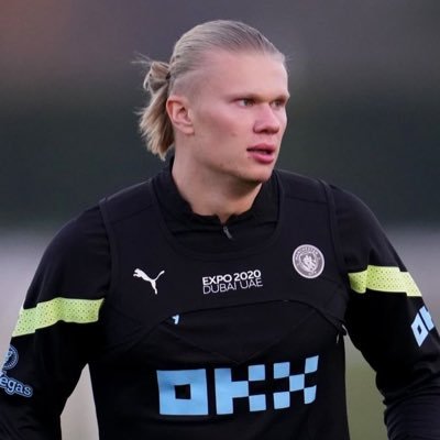 haalandismo 🇳🇴's profile picture