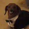 Profilbild von Sneederino