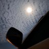 F51's profile picture