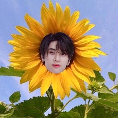 karekurukara's profile picture