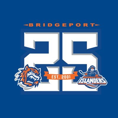 Bridgeport Islanders's profile picture