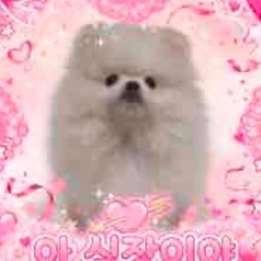 LEE(胃)下垂's profile picture