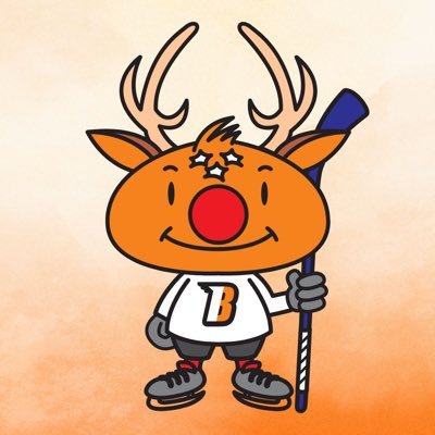 NIKKOICEBUCKS's profile picture