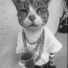 TinBeers's profile picture
