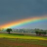 Фото профиля deshvakt