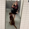 SimoneAWhat?'s profile picture