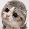 一休's profile picture