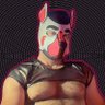 Pup Ripp profil fotoğrafı