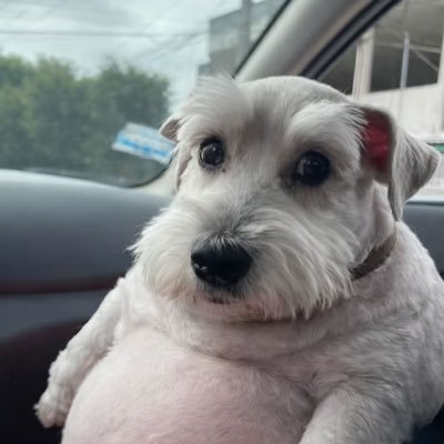 icy's profile picture