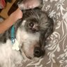 johan profil fotoğrafı