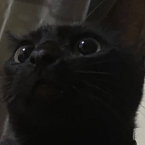 2tonedmuv's profile picture