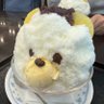 かわいいクマちゃん's profile picture