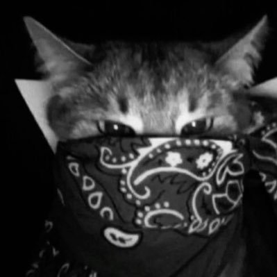 error_ds02's profile picture