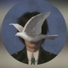 lonely wolf's profile picture