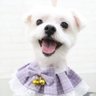 Mayaya profil fotoğrafı
