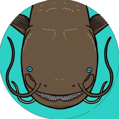 numabenamazu's profile picture