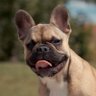 KELB's profile picture