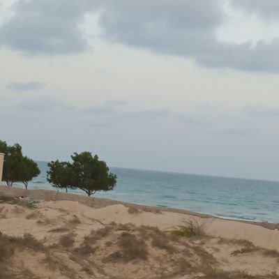 znAln64917's profile picture