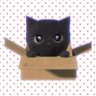Фото профиля Meow