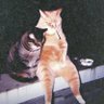 Profilbild von Tinny