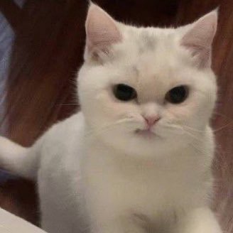 Geni_J's profile picture