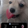 GADO DO M13L profil fotoğrafı