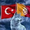 Hüseyin TÜRKMEN🇹🇷 的头像