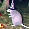 Profilbild von MagoIsaak