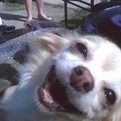 amandaaaaaaaarr's profile picture