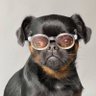 Profilbild von rocky