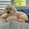 SunnyInNaples's profile picture