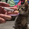 Solven Geist profil fotoğrafı