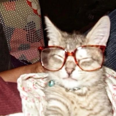 lizishixiaogou's profile picture