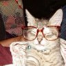 是栗子不是李子🌰's profile picture