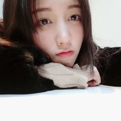 红颜's profile picture