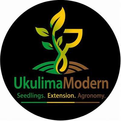 UkulimaModern's profile picture