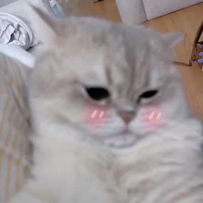 Be~nyaa 💫's profile picture