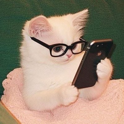 โจวกรุ๊งกริ๊ง ♡🎐's profile picture
