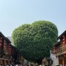 斯丹康 profil fotoğrafı