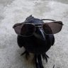 Cr0wfive profil fotoğrafı