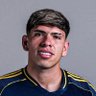 diablo flores 的头像