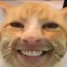 Profilbild von Direita na Net