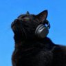 Lurker's profile picture
