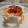 Фото профиля 県民
