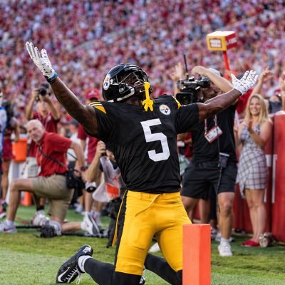 SteelerSzn's profile picture
