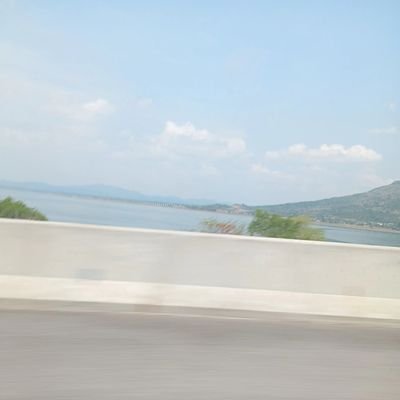 SngbNk21897's profile picture