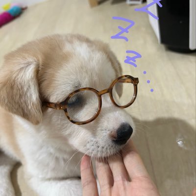 ณ.'s profile picture