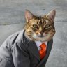 B1RDSNEST's profile picture